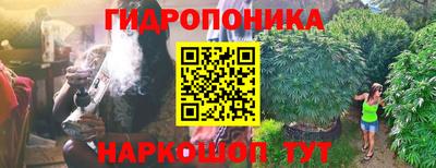 ECSTASY Аргун